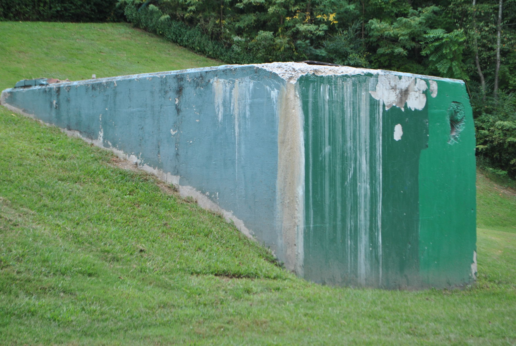 DSC_9242.JPG